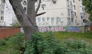 Image 4 - 221028