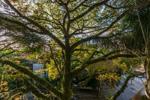Image 32 - 221654