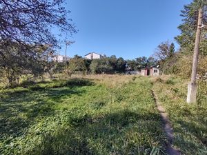 Image 10 - 222345