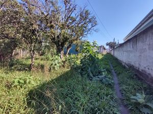Image 9 - 222345