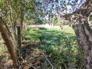 Image 11 - 222345
