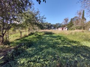 Image 8 - 222345