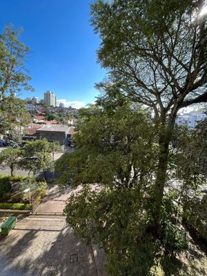 Image 50 - 222542