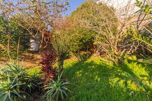 Image 34 - 222960