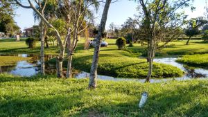 Image 4 - 223259