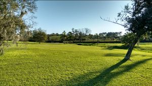 Image 5 - 223259