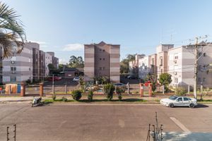Image 7 - 223263