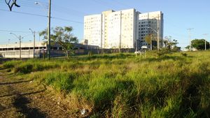 Image 10 - 223455