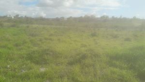 Image 7 - 223455