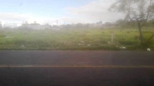 Image 4 - 223456