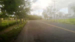 Image 7 - 223456