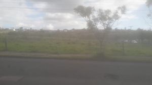 Image 11 - 223456