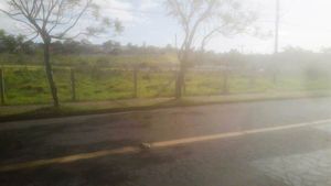 Image 13 - 223456