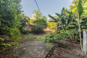 Image 27 - 223494