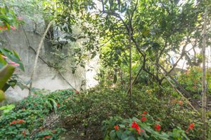 Image 30 - 223494