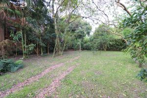 Image 11 - 223513