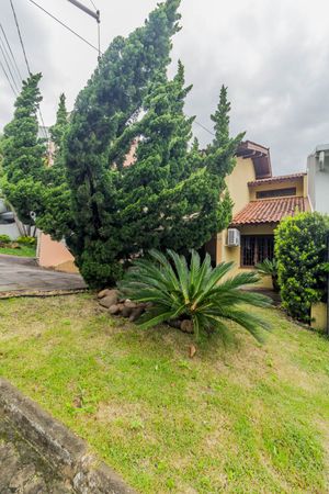 Image 35 - 223697