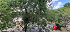 Image 10 - 223778