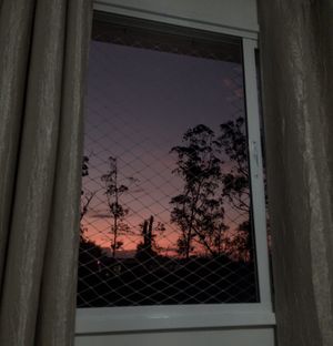 Image 10 - 224831