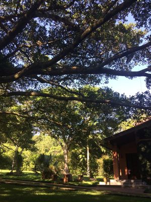 Image 13 - 224835