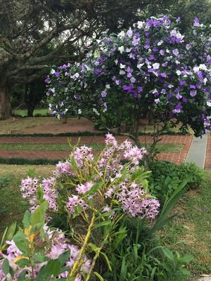 Image 2 - 224835