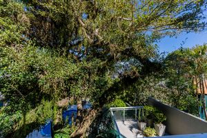 Image 24 - 224934