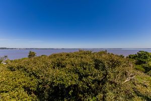 Image 57 - 224934