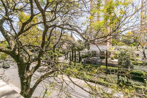 Image 13 - 224985