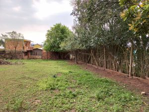 Image 2 - 225247