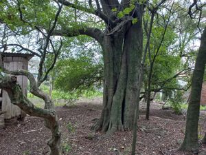 Image 5 - 225247