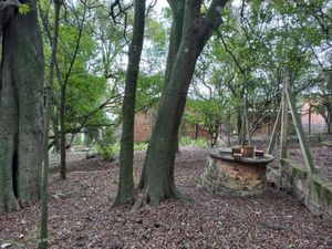 Image 6 - 225247