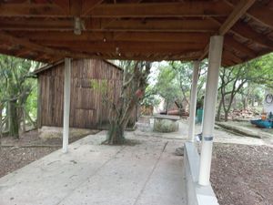 Image 4 - 225247