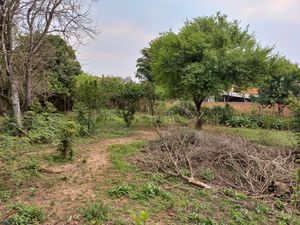 Image 8 - 225247