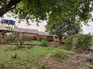 Image 10 - 225247