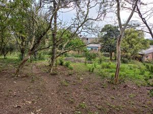 Image 7 - 225247