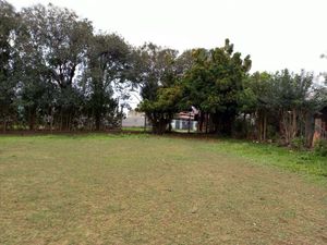 Image 12 - 225247