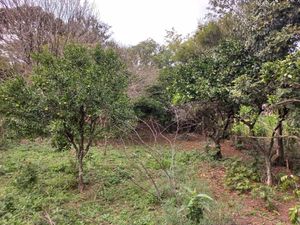 Image 11 - 225247
