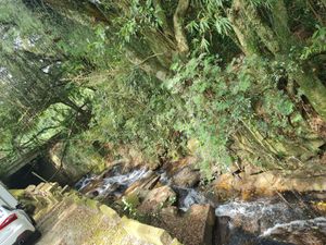 Image 5 - 225323