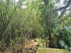 Image 4 - 225323