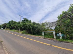 Image 6 - 225323