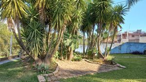 Image 34 - 225478