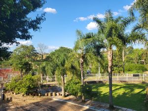 Image 39 - 225478