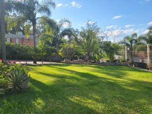 Image 36 - 225478