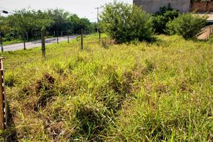 Image 3 - 225479