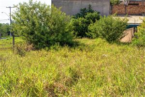 Image 4 - 225479