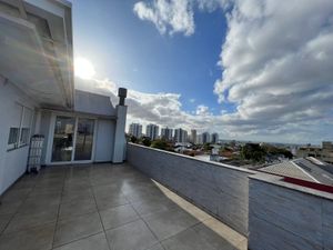 Image 8 - 225537