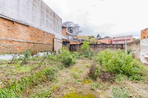 Image 25 - 225584