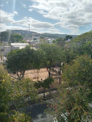 Image 17 - 225816