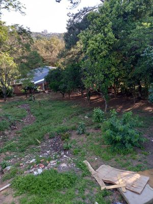 Image 19 - 225908