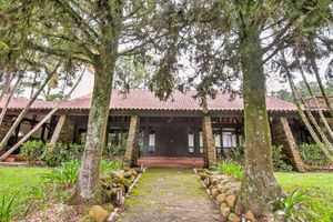 Image 41 - 225940
